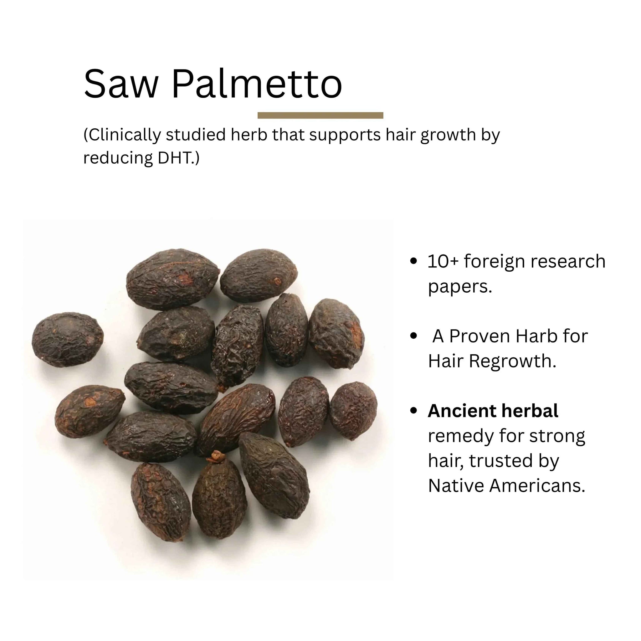 Benefits of Saw Palmetto Ingredients - ROOT BOTANIE