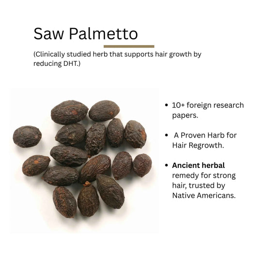 Benefits of Saw Palmetto Ingredients - ROOT BOTANIE