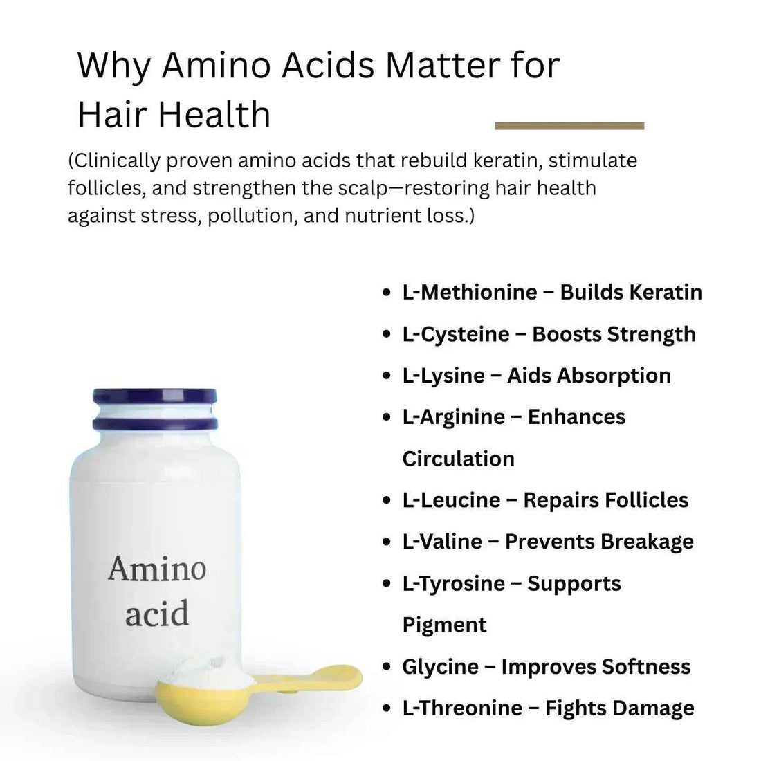 Why Amino Acids Matter for Hair Health : How They Rebuild, Repair & Restore Thinning Hair - ROOT BOTANIE