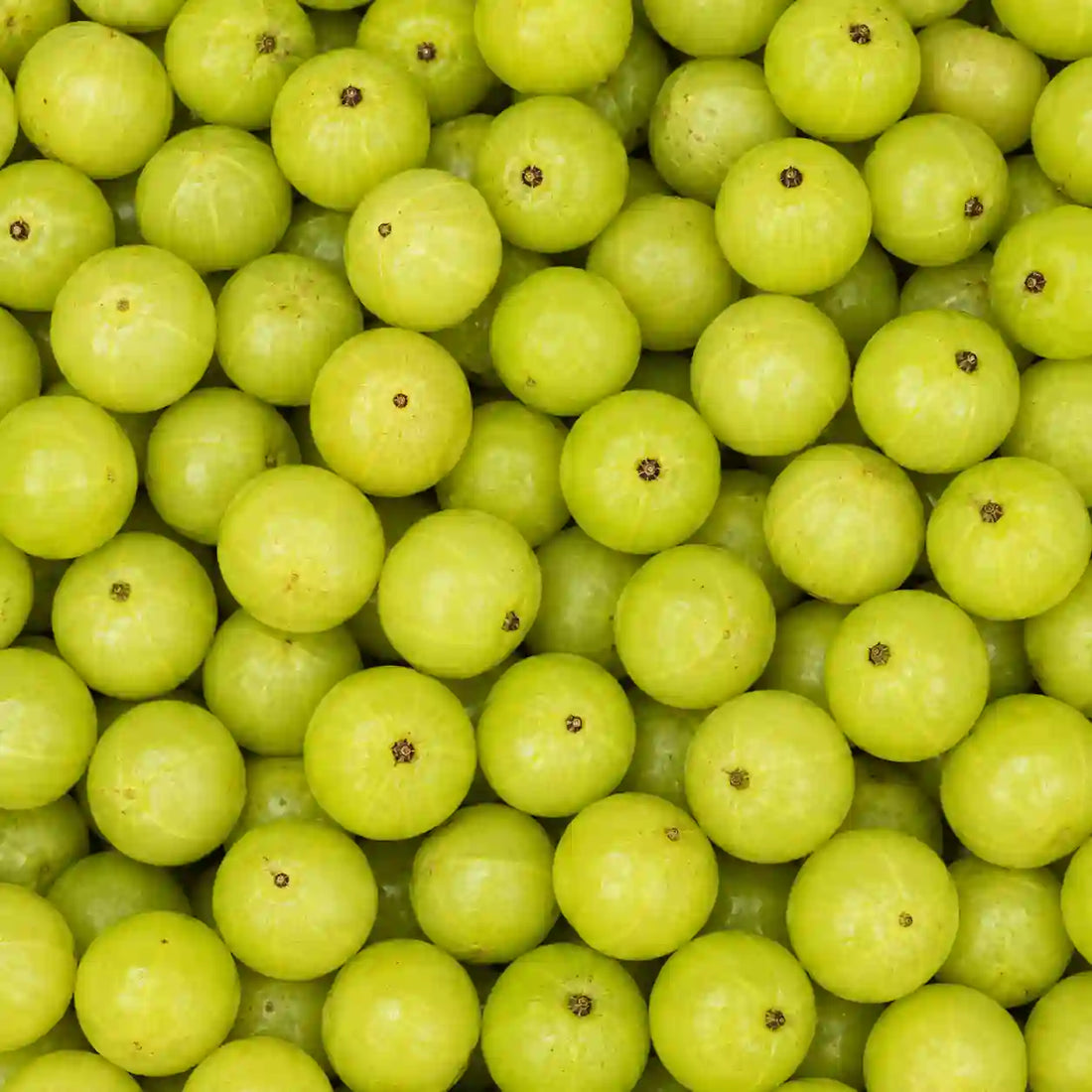 Amla
