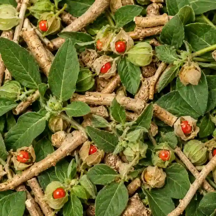 Ashwagandha