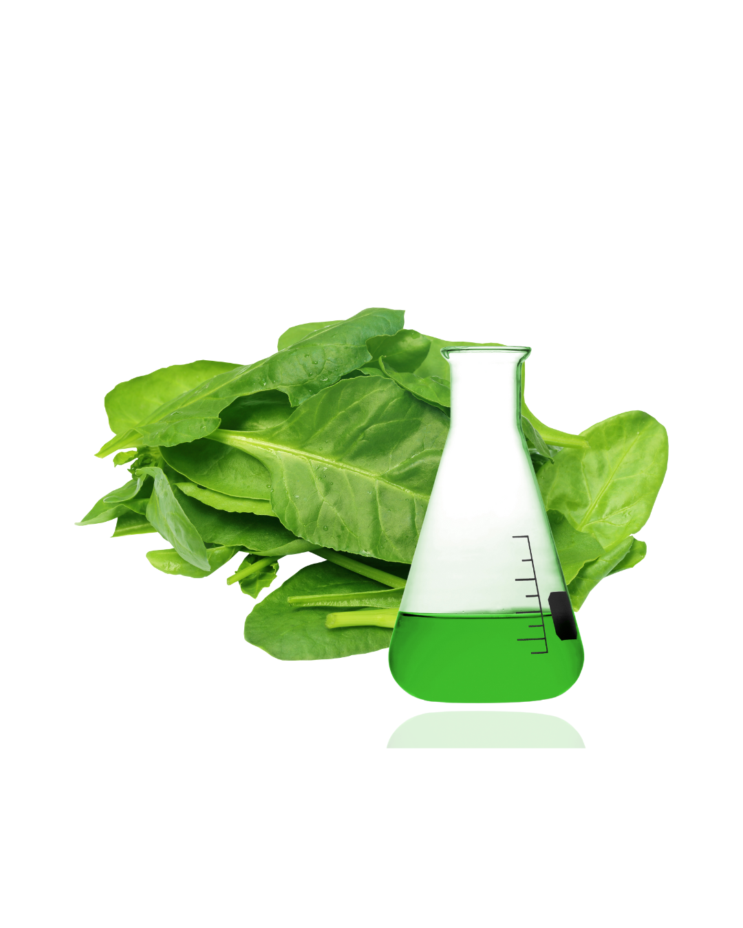 Strengthening Agents