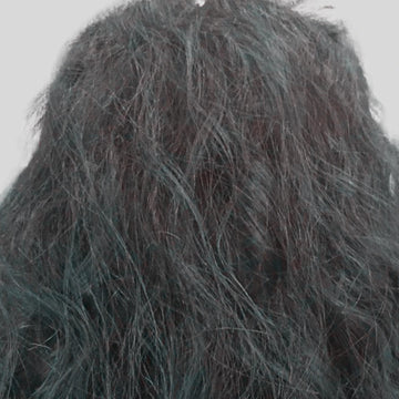 Tangled & Frizz Hair