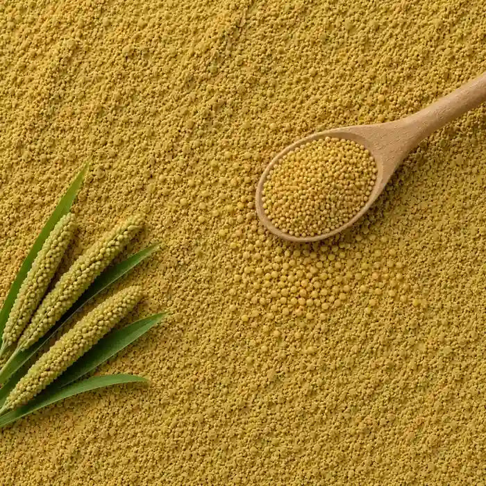 Millet Seed Extract