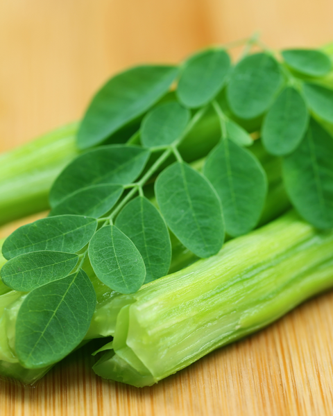 Nourishing Botanicals 