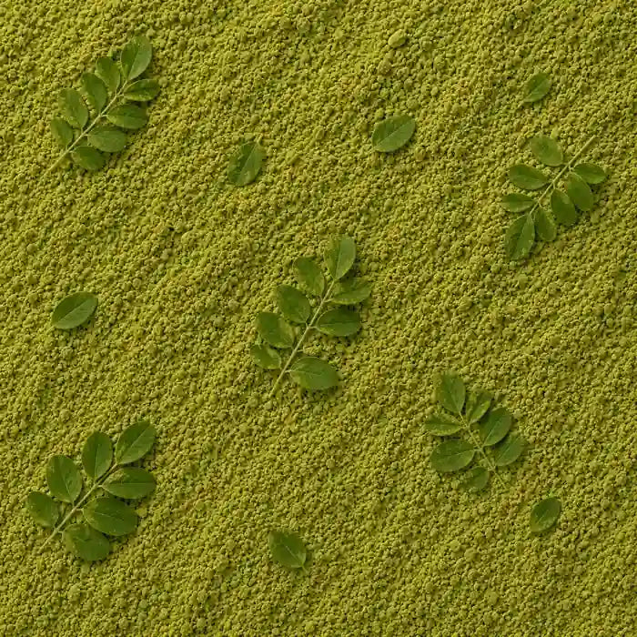 Moringa Seed Extract