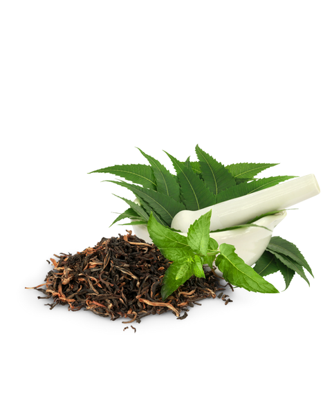 Scalp & Root Soothers
