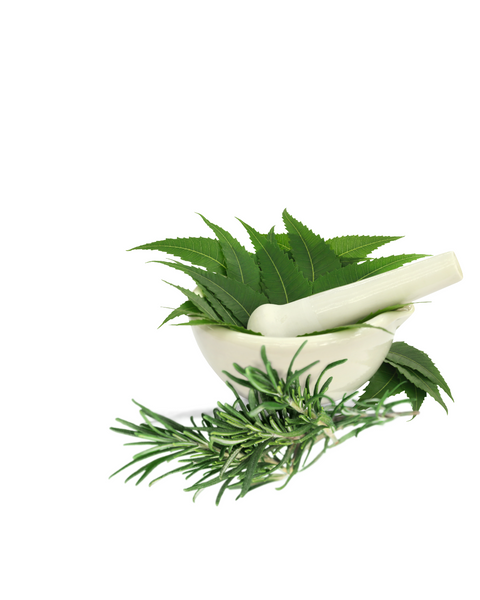 Scalp Soothers 