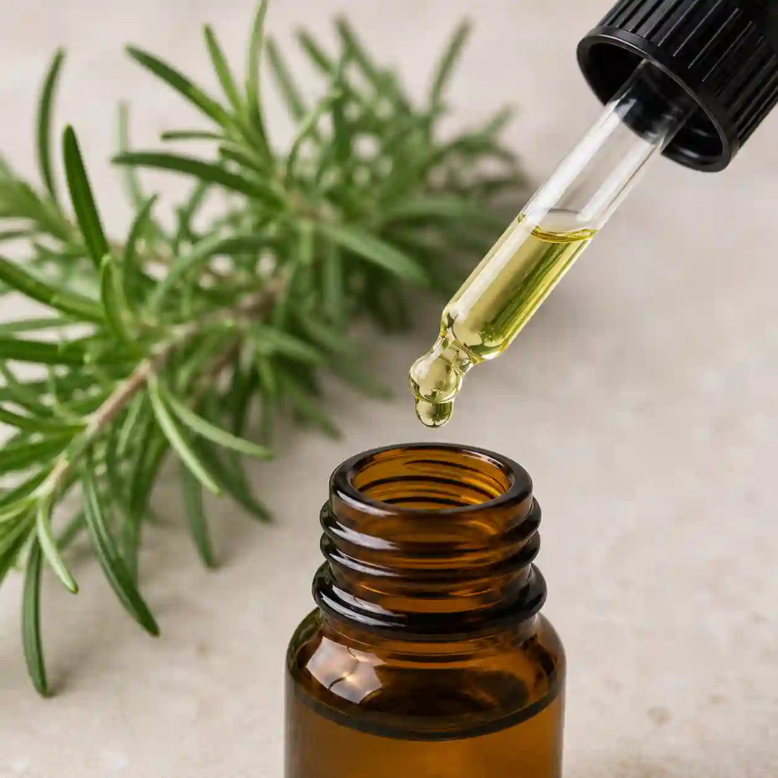Rosemary Extract