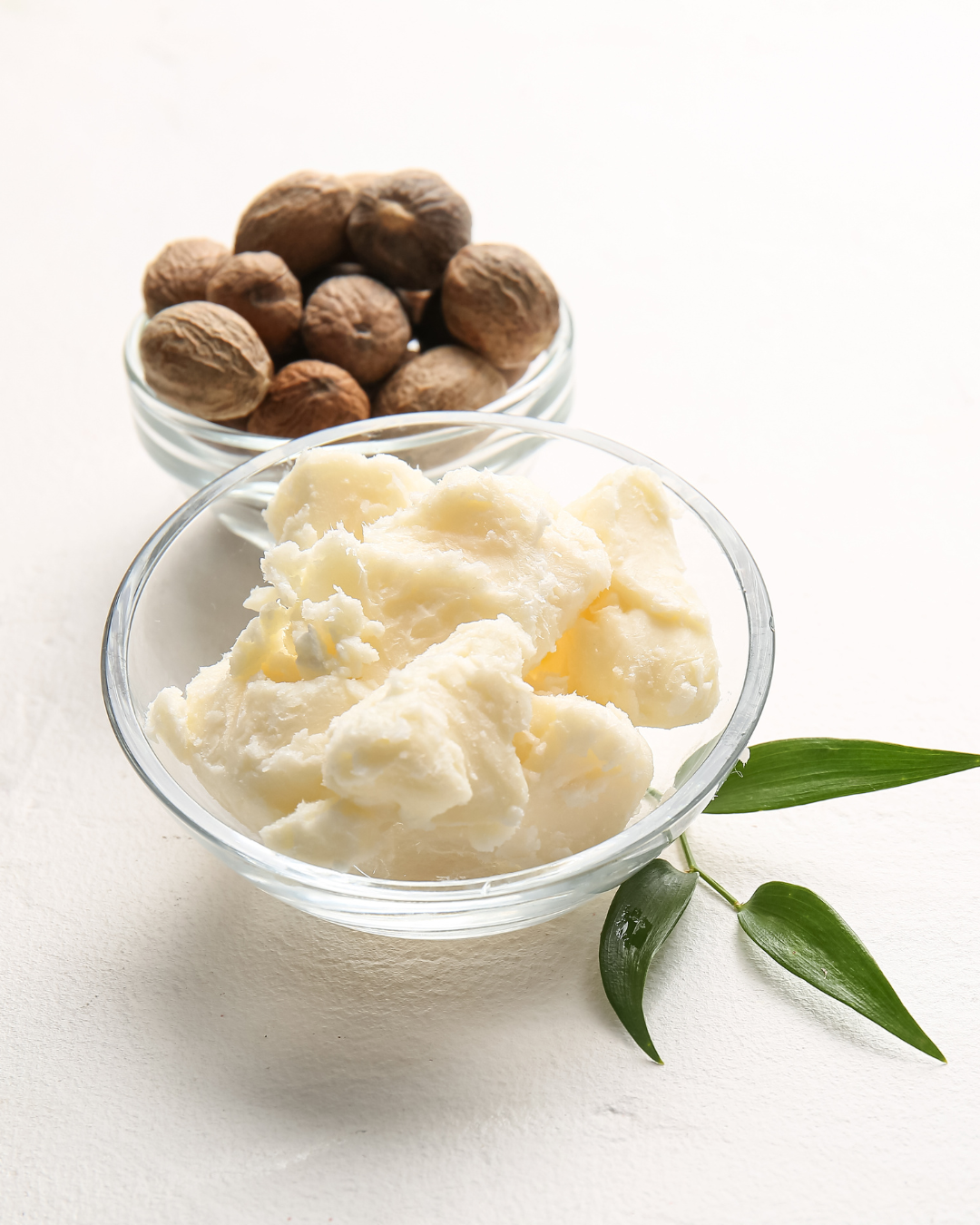 Hydrating Butters & Oils 