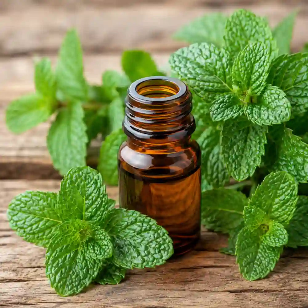 Peppermint